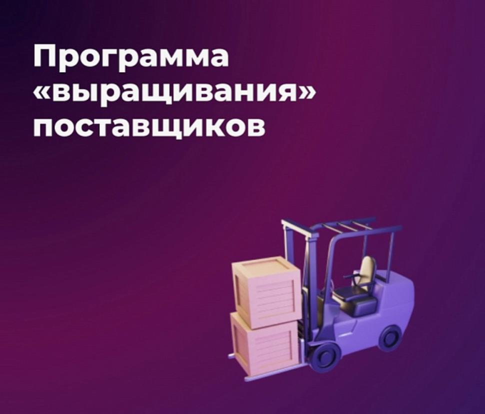 Субъекты МСП могут подать заявку на участие в программе по закупкам