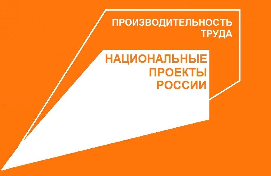 Федеральный проект «Производительность труда»