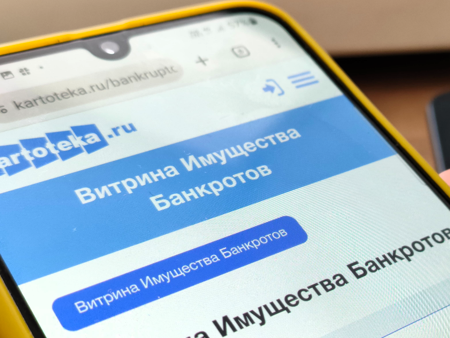 «Витрина имущества банкротов» открывает доступ к активам должников