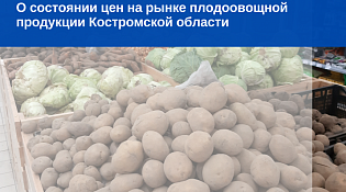 О состоянии цен на рынке плодоовощной продукции Костромской области