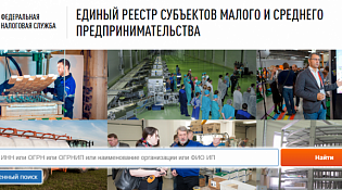Число субъектов МСП в России выросло в 2023 году на 6% и достигло 6,3 млн