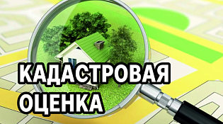 О размещении проекта отчета об итогах государственной кадастровой оценки, а также о порядке и сроках представления замечаний к проекту отчета