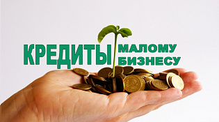 Свыше 198 млрд рублей получил малый и средний бизнес по льготной Программе стимулирования кредитования за 10 месяцев 2023 года